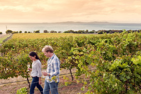 Boston Bay Wines - Stays Accommodation 0