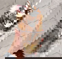 Eggette Waffle Bar - Stayed