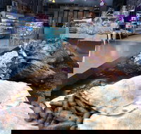 Grandpas Lebanese Food - Stayed