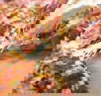 Pizza Rustica - Stayed