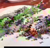 YaYa Bar and Eatery - Stayed