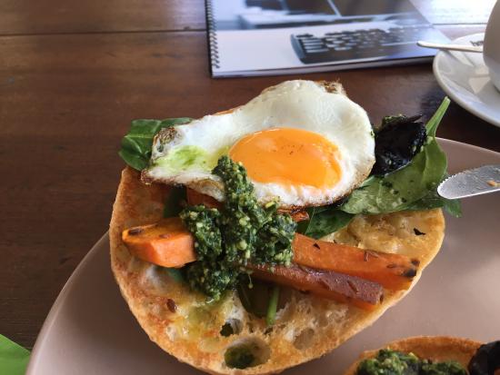 Carrington NSW Stays Accommodation