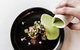 Highline Restaurant - thumb 5