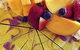 Siam Spice - thumb 4
