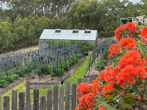 Hot Chilli Mama - Stayed 0