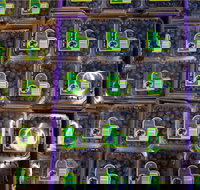 Jolly Berries - Stayed