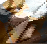 Kunara Organic Cafe - Stayed