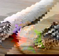 Le Wrap - Rhodes - Stayed