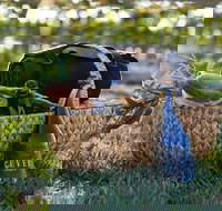 Rowlee Wines Picnic Hamper - Stayed