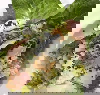 Ryan's Gourmet Kitchen