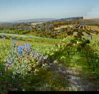 Wills Domain - Stayed