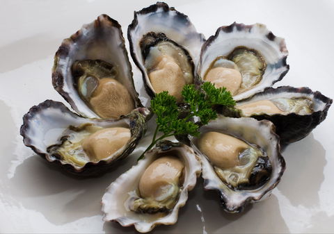 Tathra Oysters - Stays Accommodation 0