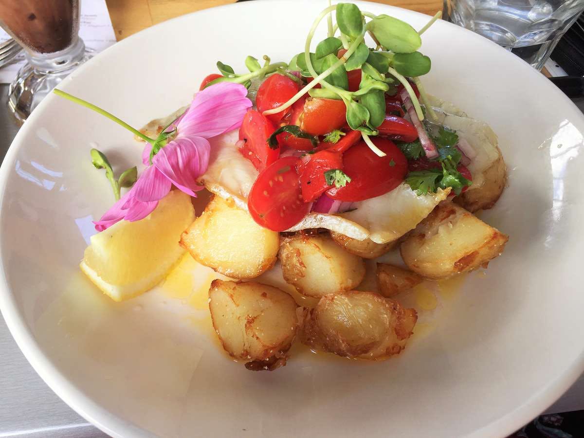 Back Creek NSW Stayed