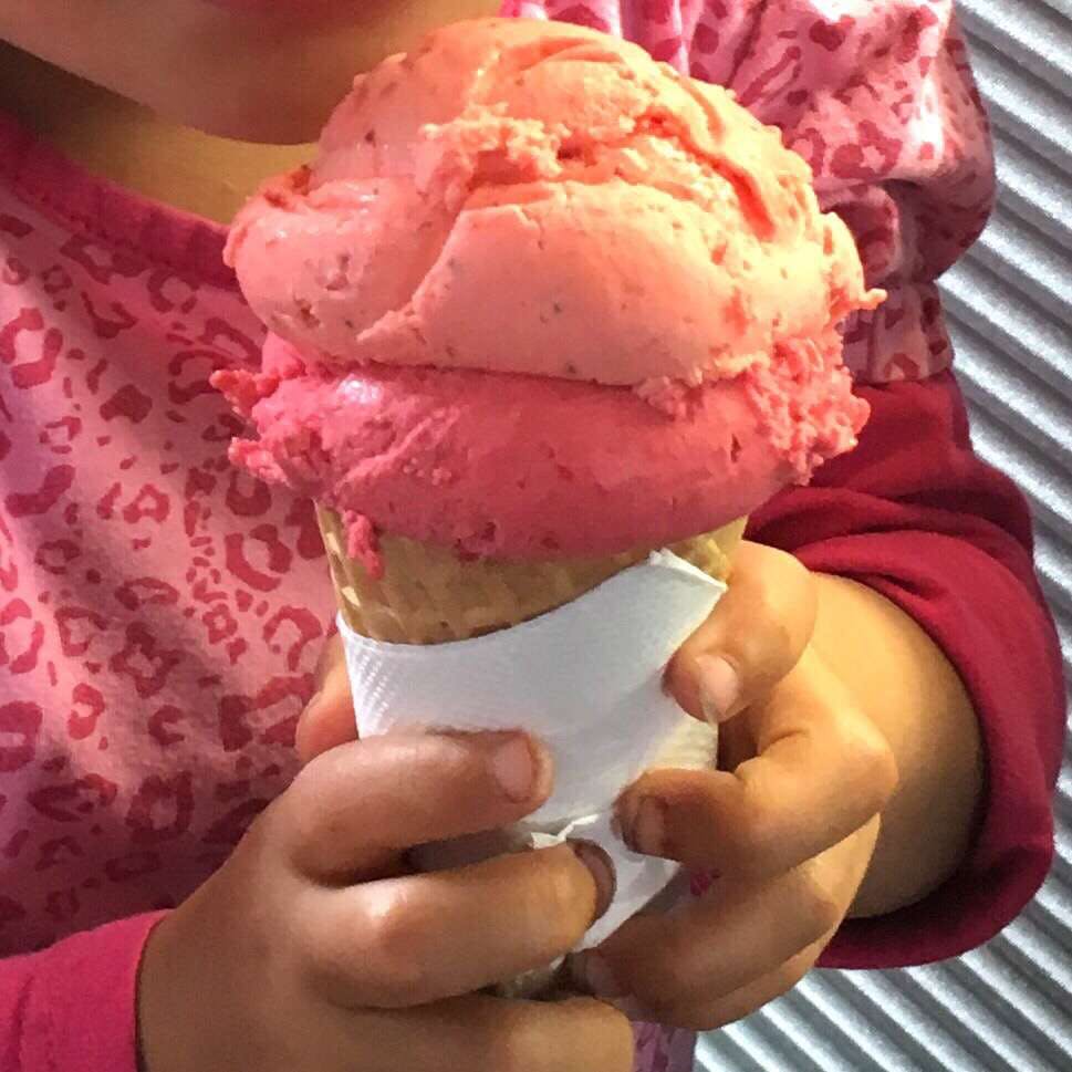 Bellingen NSW Stayed