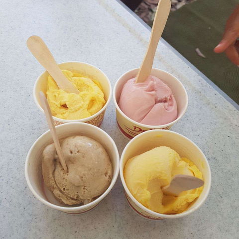 Delizia Gelato And Sorbet - Stayed 0