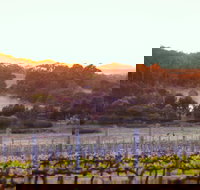 Howling Wolves Wines - Stayed