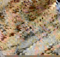 Indian Curry Cuisine - Stayed