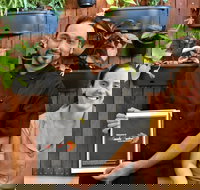 Masala Fusion - Stayed