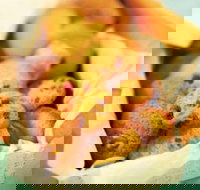 Mrs. Fields - Baldivis - Stayed