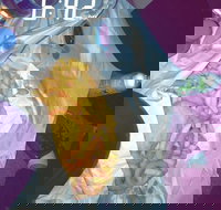 Sharks Tail Fish  Chippery - Stayed