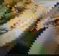 Ankara Kebabs  Bakery - Stayed