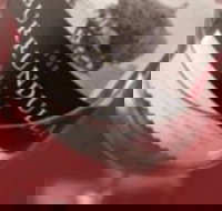 Burrundulla Vineyards - Stayed