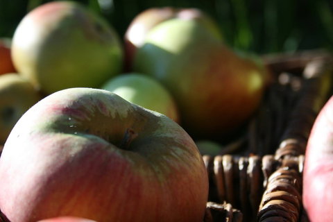 Denmark Heritage Cider Company - Stayed 0