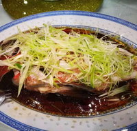Haberfield Chinese Restaurant - Stayed