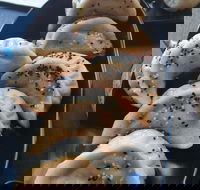 Harvey Leighs - Stayed