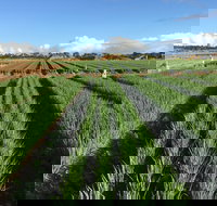 Hawkes Farm - Stayed