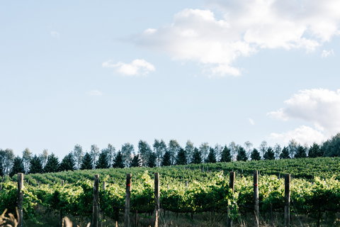 Passing Clouds - Stays Accommodation 1