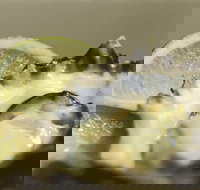 Pearly Oyster Bar and Farm - Stayed