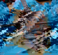 Howitt Street Bakehouse Wendouree - Stayed