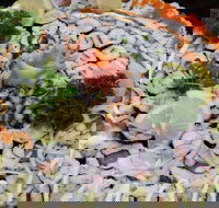 I Sushi - Eaton - Stayed