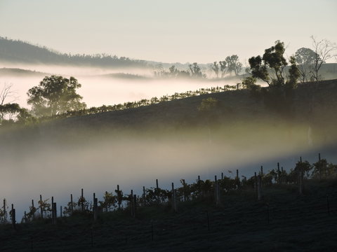 Mt Bera Cellar Door And Restaurant - Stays Accommodation 1
