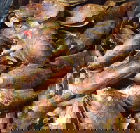 Pacific Eats - Stayed