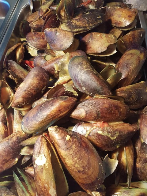 Pacific Eats - Stayed 0