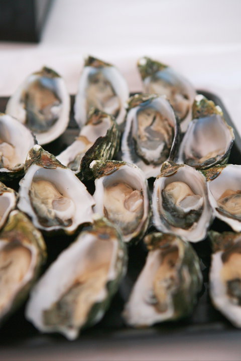 S.D. Caputo And Sons - Stayed 0