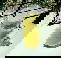 Common Ground - Stayed