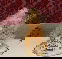 Le Rendez-vous - Stayed