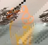 Where Ya Bean - Stayed