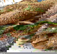 Bean Out - Stays Accommodation