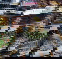 Haynes Street Larder - Stayed