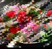 Osteria Antica - Stayed