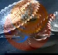 Piemonte Cafe - Stayed