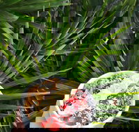 Red Cardinal Cafe and Catering - Stayed