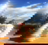 Fork it Farm - Stayed