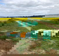 The Basin Backyard - Stayed