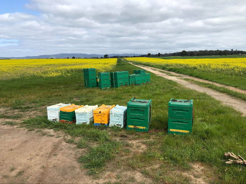 The Basin Backyard - Stayed 0