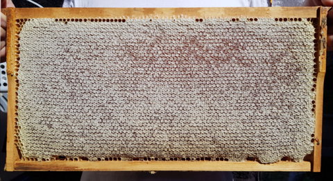 The Basin Backyard - Stayed 1